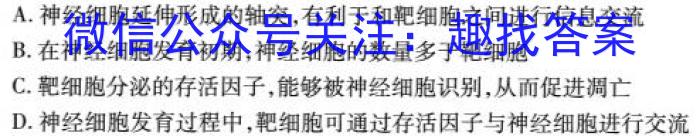 炎德英才 名校联考联合体2024年秋季高二第二次联考生物学试题答案