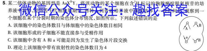 2024年河南省普通高中招生考试模拟试卷(信息卷二)生物学试题答案