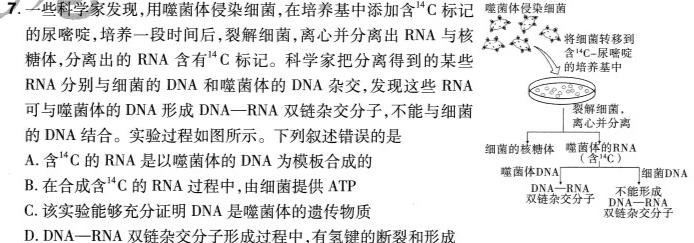 2024年河北省初中毕业生升学文化课考试预测押题卷（二）生物学部分