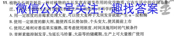 江西省宜春市上高县2024-2025学年高三九月份月考生物学试题答案