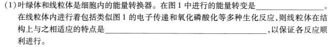 山东省2024年普通高等学校招生全国统一考试测评试题(二)2生物