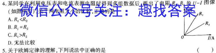 安徽省寿春中学2024年春学期八年级入学检测物理