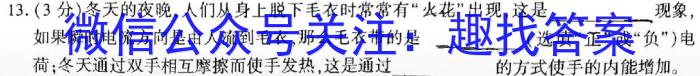 河北省2023-2024学年第一学期九年级期末结课学情质量检测物理试卷答案