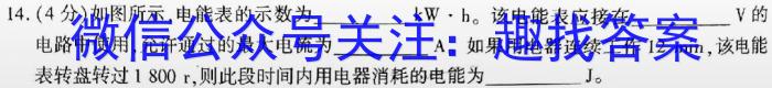 安徽省2024年初中毕业学业考试模拟试卷（5.7）物理`