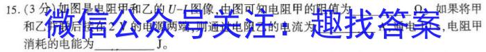 安徽省合肥市肥东县2024届九年级期末试卷物理试卷答案