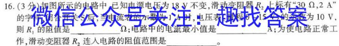 ［长安区一模］2024年长安区高三年级第一次模拟考试物理试卷答案