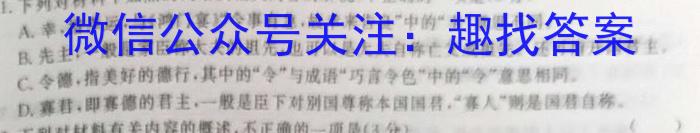 安徽省2023-2024学年九年级第二学期综合素养测评（2月）语文