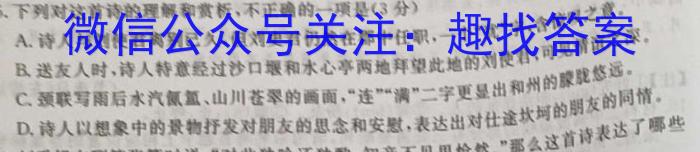 安徽省2024届九年级下学期2月联考/语文