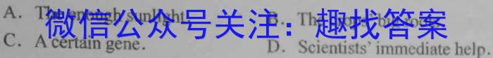 ʡϲ2023-2024ѧȾ꼶һѧĩӢx