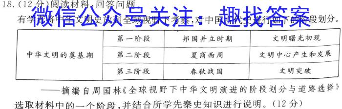 安徽省2024年中考总复习专题训练 R-AH(四)4历史试卷答案