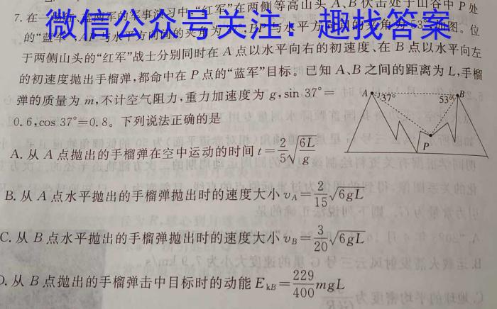 上进联考•2023-2024学年第一学期高二年级期末测试l物理