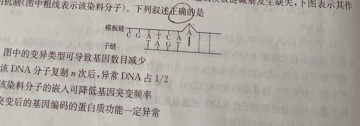 2024年平顶山市中招学科适应性测试试卷生物