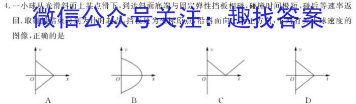 环际大联考逐梦计划2023-2024学年度高一第二学期阶段考试(一)物理试卷答案