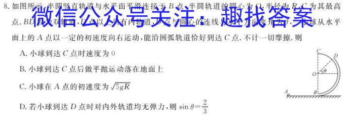 河南省2024年九年级中招适应性测试(四)物理试卷答案