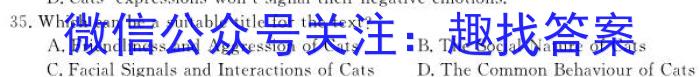 2024年普通高等学校招生全国统一考试仿真模拟卷(T8联盟)(三)3英语