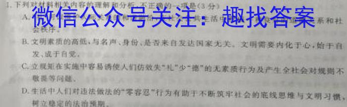 2024年普通高等学校招生全国统一考试 名校联盟·模拟信息卷(T8联盟)(四)4/语文