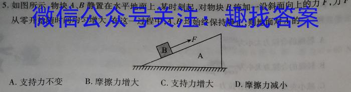 2024年湖南省初中学业水平考试模拟试卷(五)物理试题答案