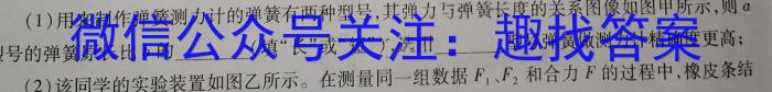 2024年安徽省初中学业水平考试 定心卷物理`