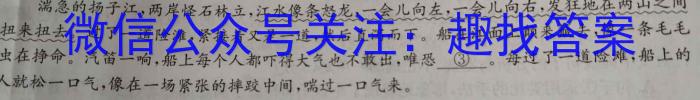 河北省2023-2024学年第二学期七年级期末教学质量检测语文