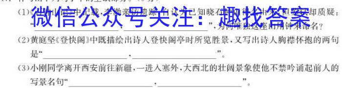 吉林省敦化市实验中学校2023~2024学年度第一学期高三教学质量阶段检测考试(24353C)/语文