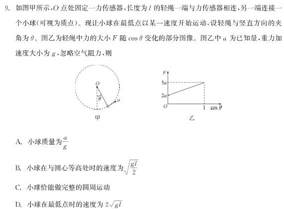 [今日更新]2024年河南省新高考信息卷(四).物理试卷答案