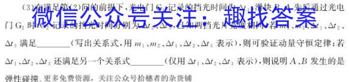 2023-2024学年度下学期泉州市高中教学质量监测（高二年级）物理试卷答案