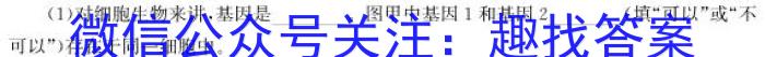 2025届高三第一学期9月质量检测生物学试题答案