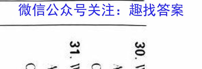 九师联盟 2024届高三1月质量检测巩固卷((新教材-L)G)英语试卷答案