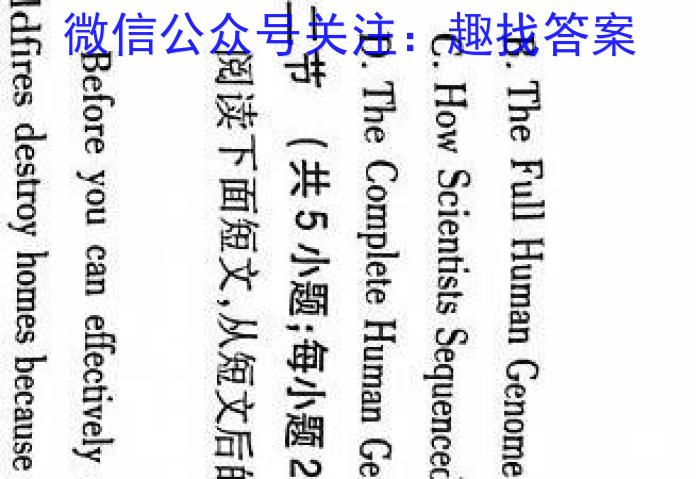 安徽省卓越县中联盟2024届高三5月联考英语试卷答案