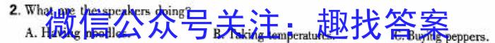 2024年河南省普通高中招生考试模拟试卷(冲刺二)英语