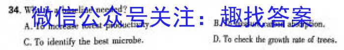 2024届[绥化二模]黑龙江绥化市高三4月联考模拟检测卷英语试卷答案