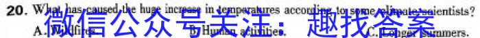 ［九年级］2024年中考总复习专题训练（一）SHX英语