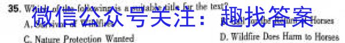 智学大联考·皖中名校联盟2023-2024学年（上）高一第四次联考英语