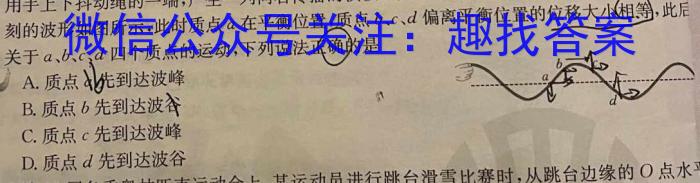 云南省高二年级楚雄州中小学2023-2024学年下学期期末教育学业质量监测(24-562B)物理`