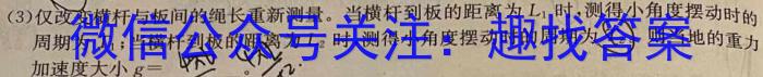 青桐鸣2024年普通高等学校招生全国统一考试 青桐鸣押题卷一物理`