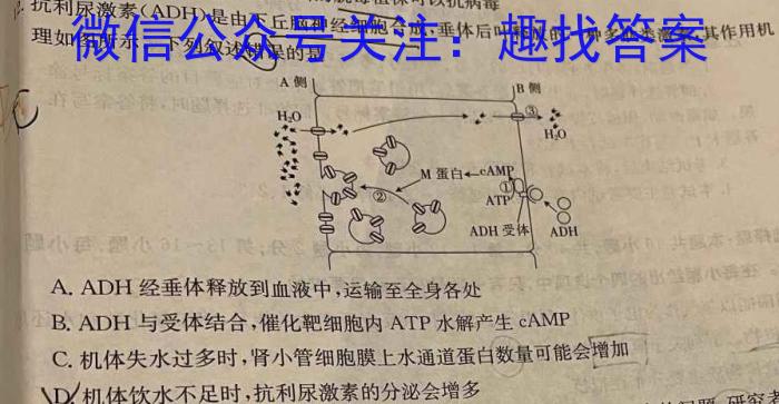 炎德英才大联考 2024年普通高等学校招生全国统一考试考前演练三3生物学试题答案