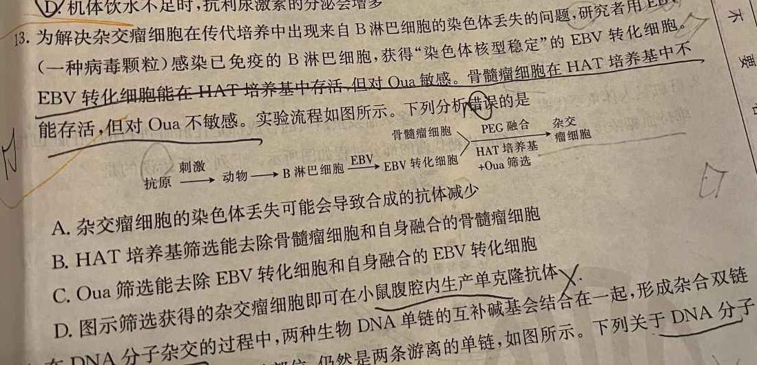 金科大联考 2023~2024学年高三5月测评(福建)生物学部分