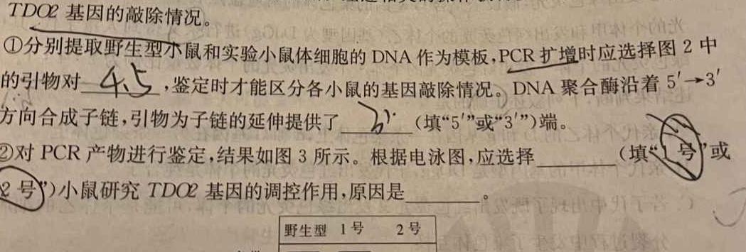 名校之约 2024届高三高考仿真模拟卷(五)5生物学部分