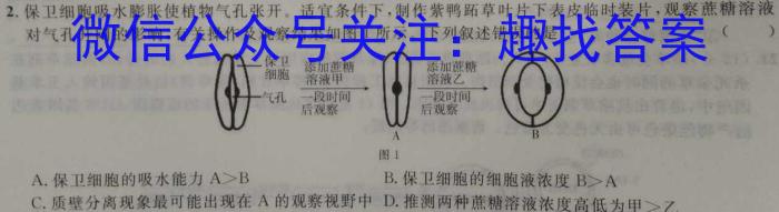 [绥化二模]黑龙江绥化市2024届高三4月联考模拟检测卷生物学试题答案