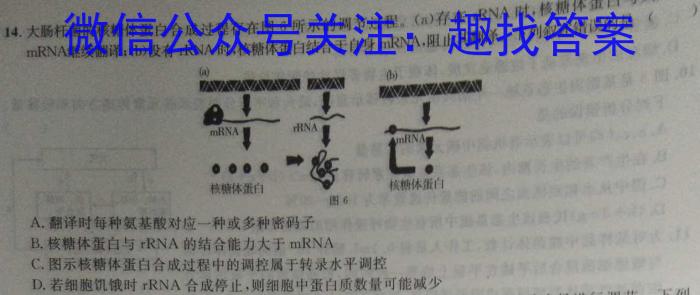 江西省2023-2024学年第二学期高一年级第八次联考生物学试题答案