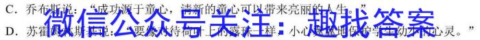 福建省永春一中 培元中学 季延中学 石光中学2023-2024学年高三下学期第二次联合考试试卷语文