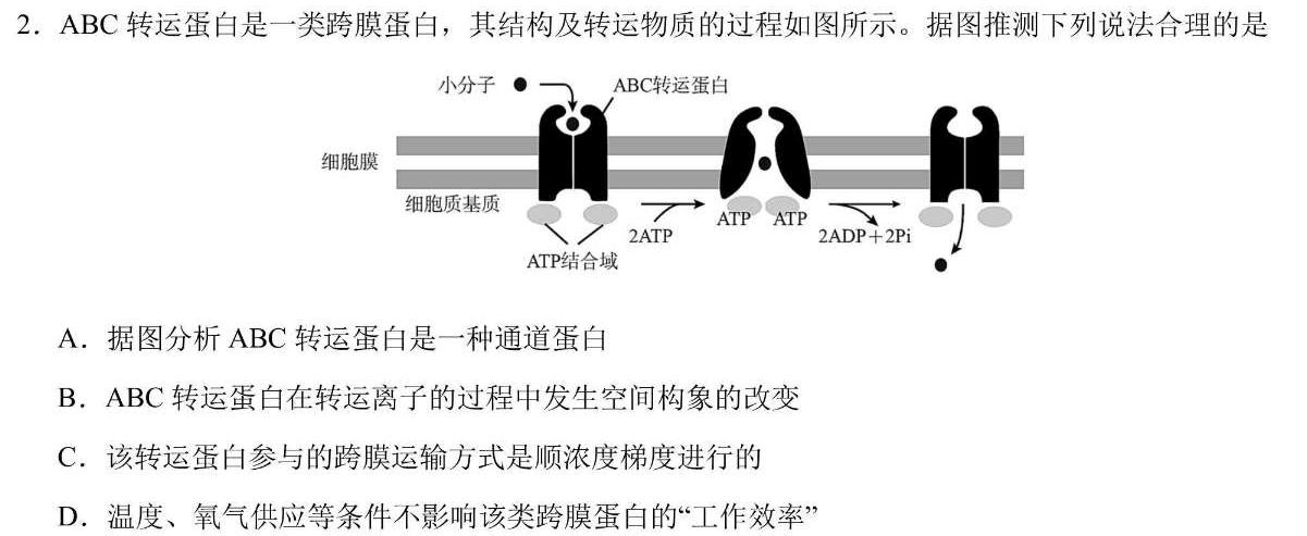 大通县塑山中学2023-2024学年高二第二学期第二次阶段检测(242768Z)生物