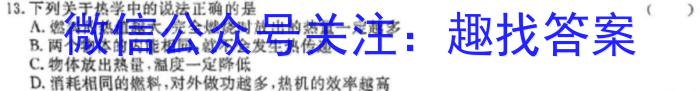 甘肃省2024年新高考联考卷（2024.4.9）物理试题答案