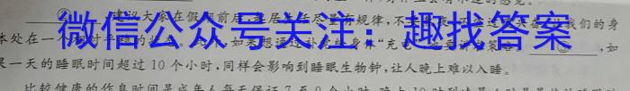 衡水金卷先享题调研卷2024答案(JJ·A)(三3)语文