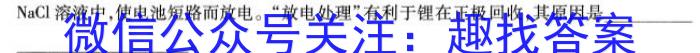 q山西省2024届九年级期末综合评估（4LR）化学