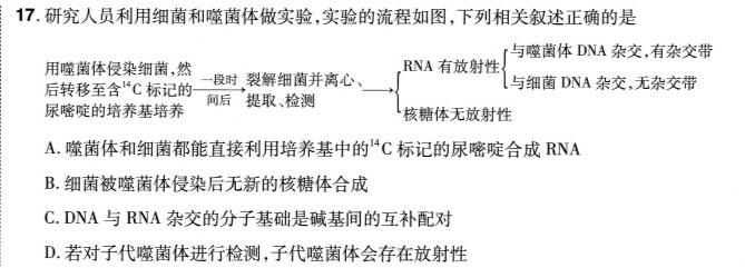 安徽省2023-2024学年度九年级无标题(试题卷)(4.25)生物