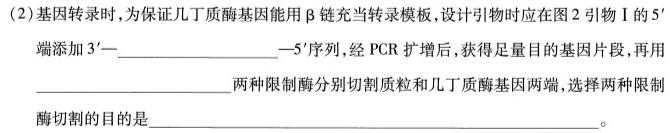 三晋卓越联盟2024~2025学年高二9月质量检测卷（25-T-050B）生物