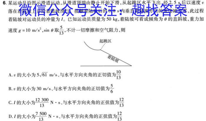 安徽省2024年的九年级下学期期中考试物理`