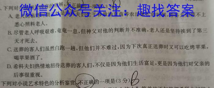 2023-2024学年安徽省九年级下学期开学摸底调研（CZ）/语文