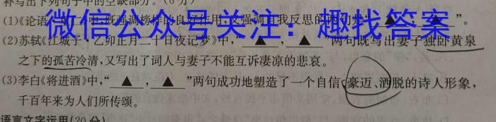 2024ˮо(B)(3)xԾ